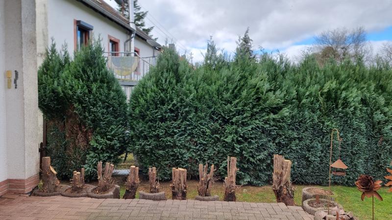 Terrasse-ohne-Thujahecke-als-Sicht--und-Windschutz